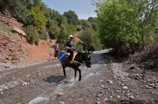 Riad Idar Ouirgane Esterno foto