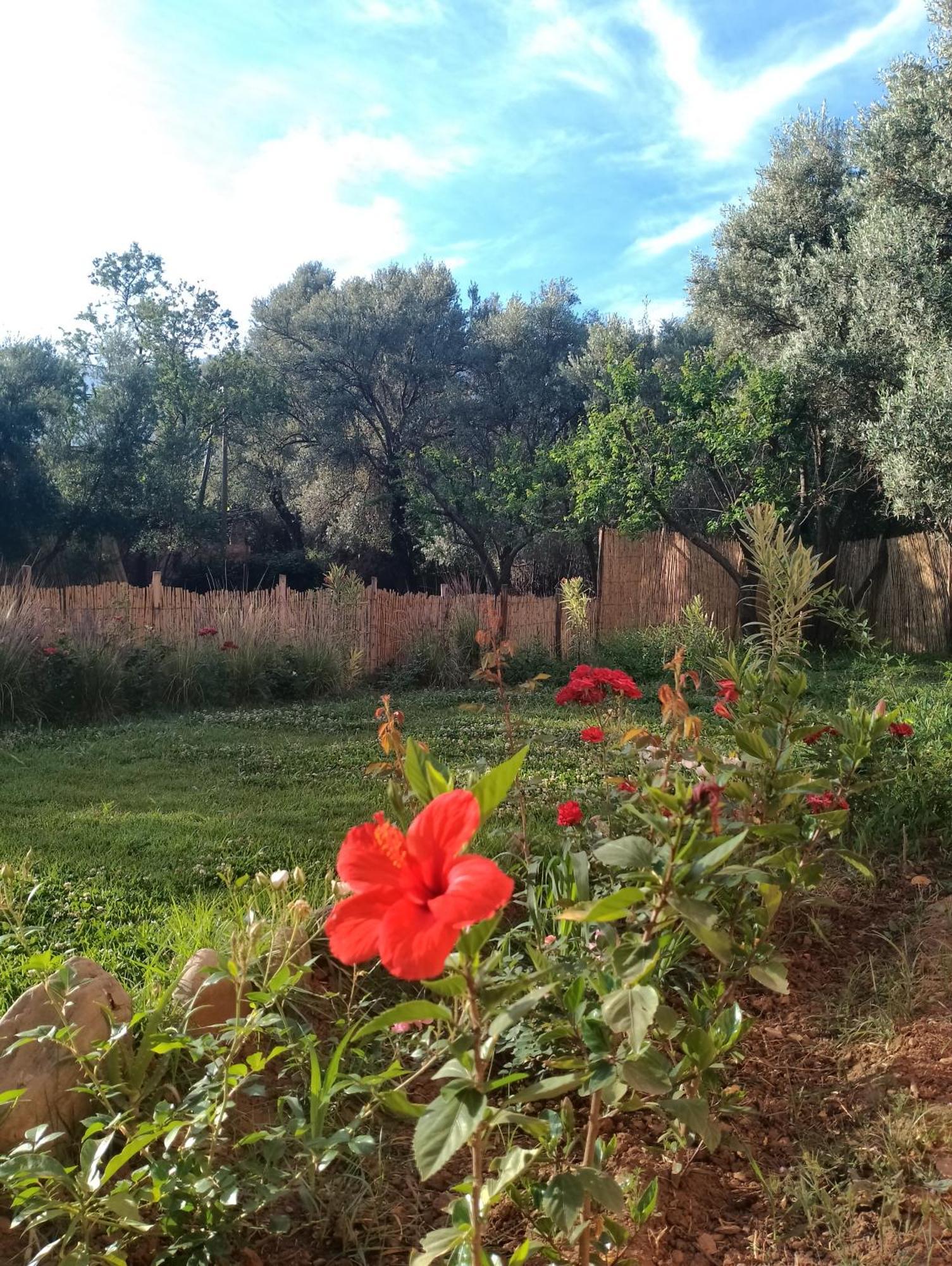 Riad Idar Ouirgane Camera foto